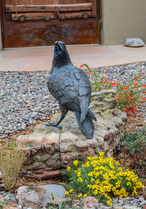 cheerful pollinator garden