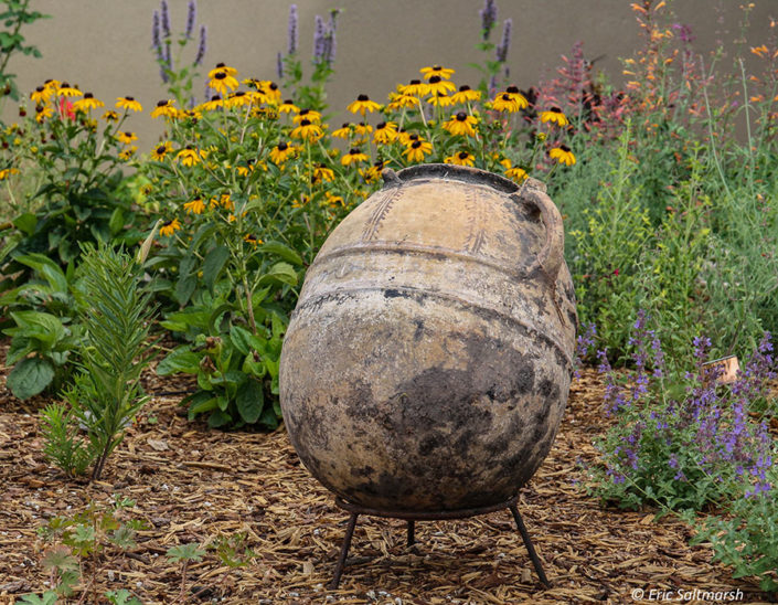 cheerful pollinator garden